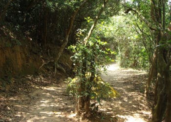 魚則魚涌->畢拿山->賽西湖公園