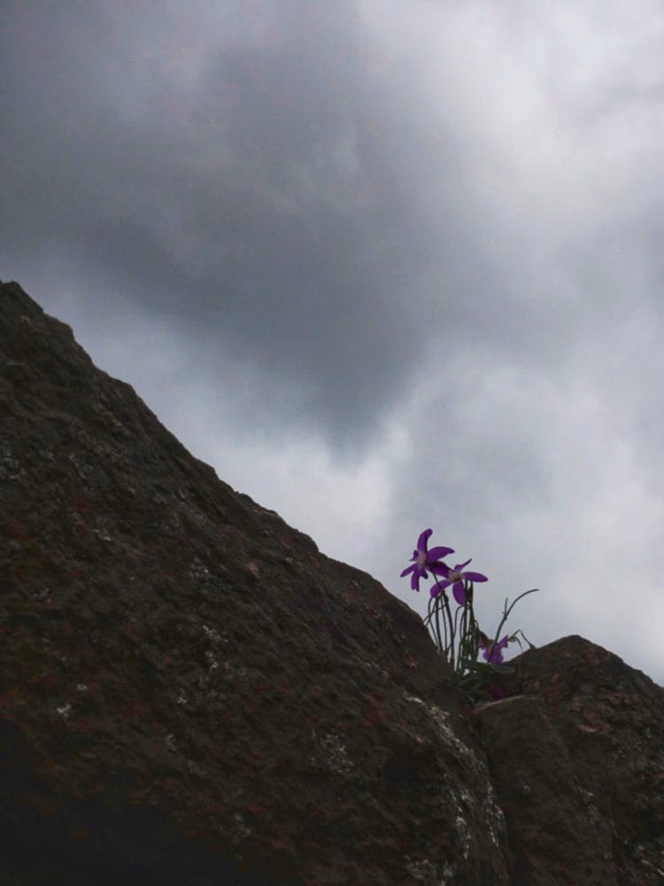 2-7 秘鲁 – 库斯科 – 圣谷