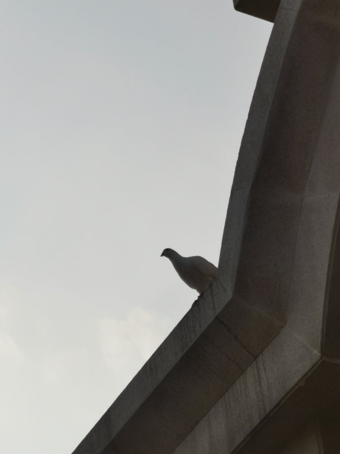 2019-06-08/09 秦皇岛-北戴河