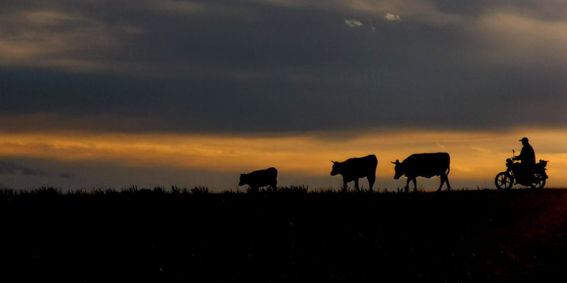 2019-09-12 中秋节 – 达里诺尔湖