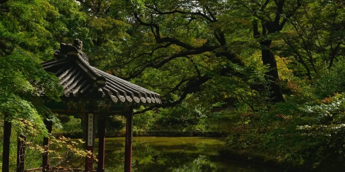 首尔 – 第3天 Seoul – Third Day 2019-10-03