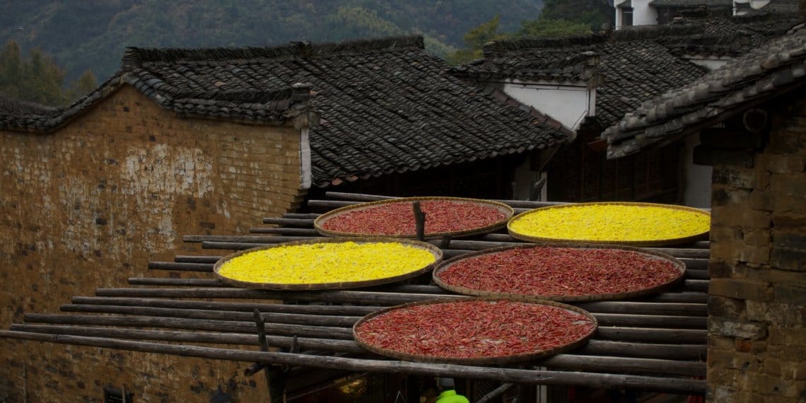 江西省上铙市婺源县 – 2019-11-30