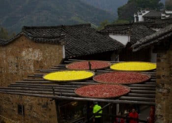 江西省上铙市婺源县 – 2019-11-30