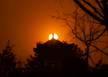 2020-03-29 马家湾湿地公园