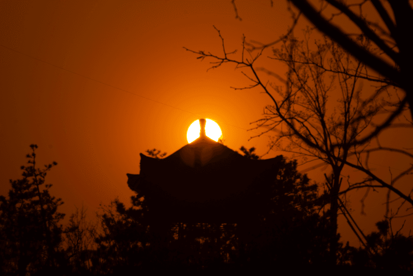 2020-03-29 马家湾湿地公园