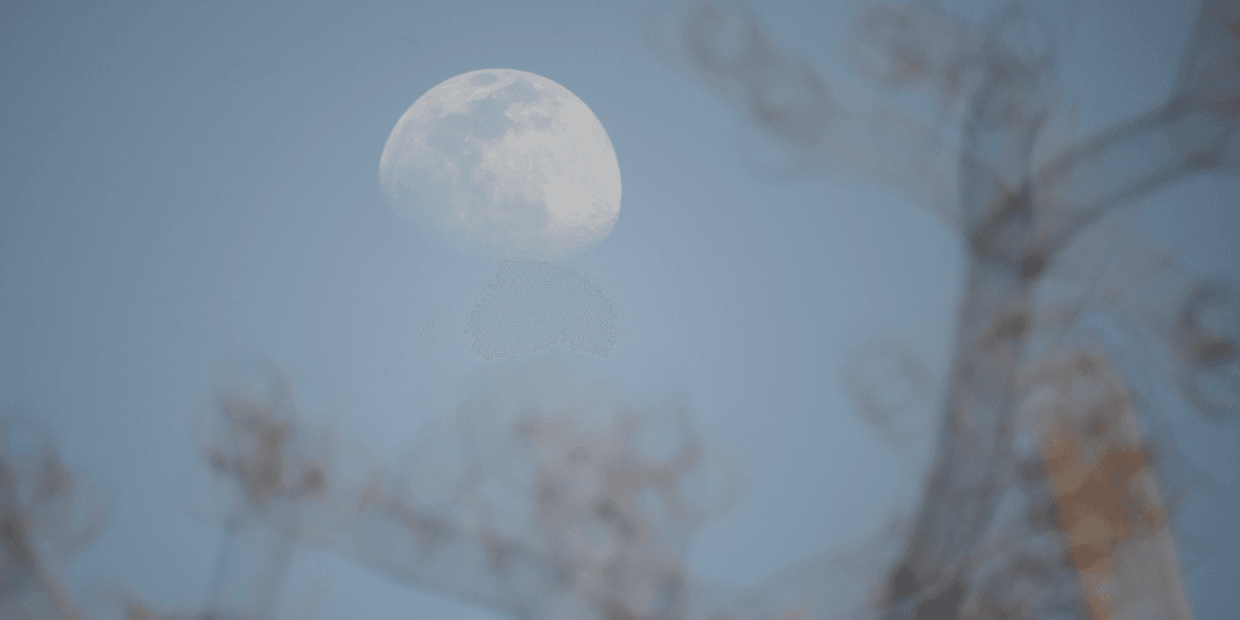 2020-04-04 地坛公园