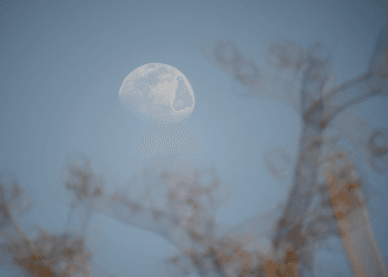 2020-04-04 地坛公园