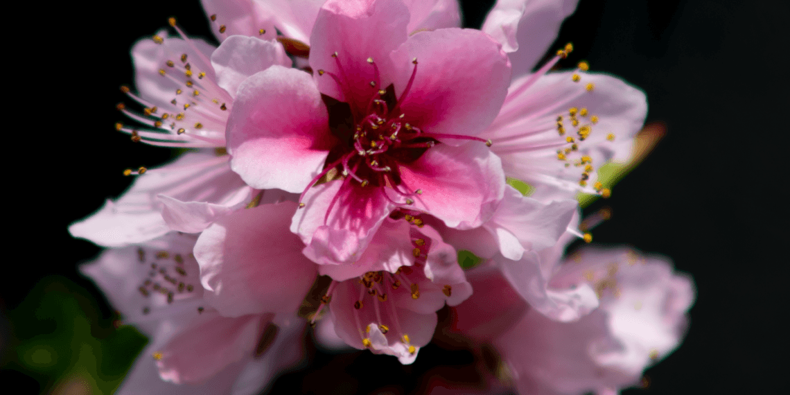 2020-04-06 元大都城垣遗址公园