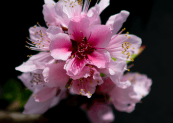 2020-04-06 元大都城垣遗址公园