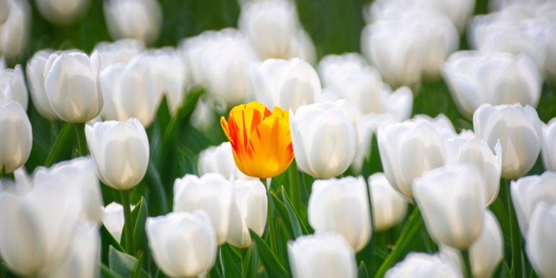 2020-04-19 北京植物园