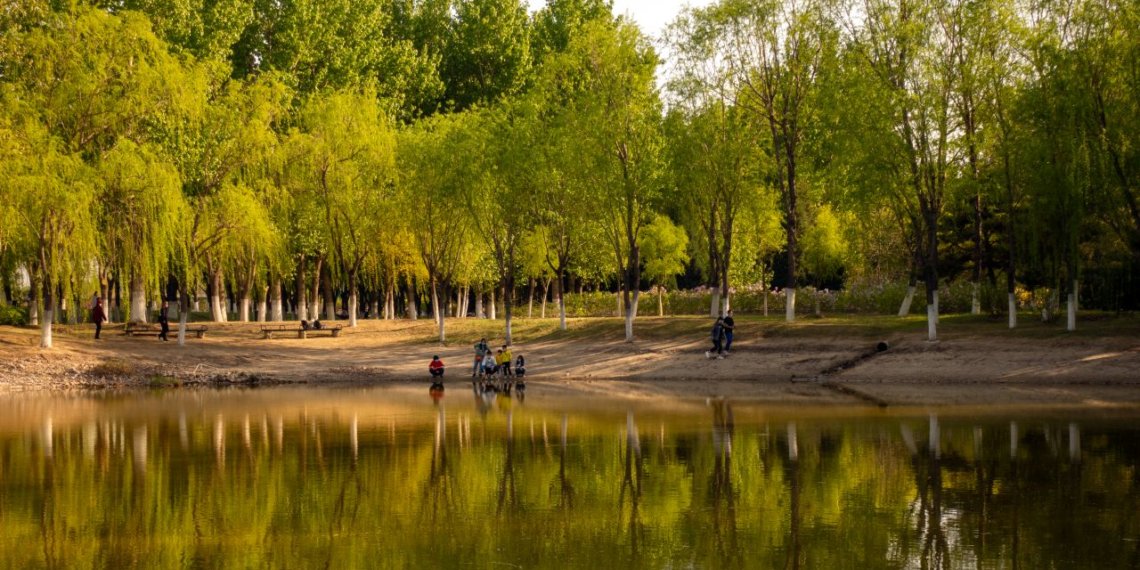 2020-04-12 大运河森林公园