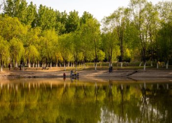 2020-04-12 大运河森林公园