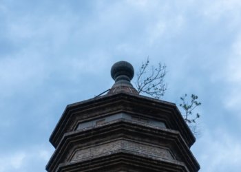 2020-04-25 古塔郊野公园