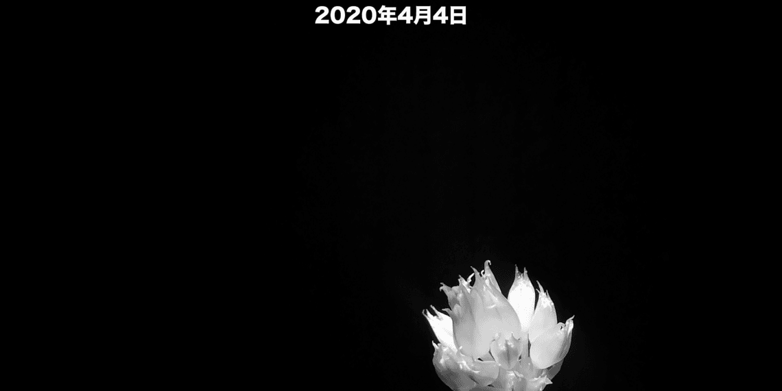 2020-04-04 向英雄致敬 向逝者致衰