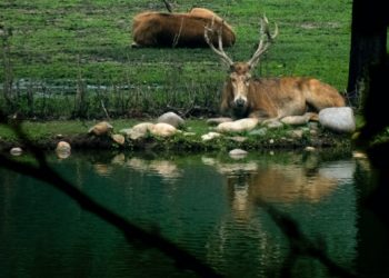 2020-07-12 南海子公园