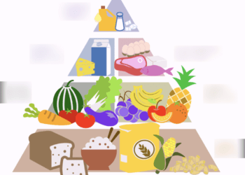 最新健康飲食法則