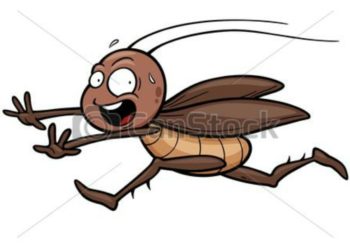 整死蟑螂２７大絕招！！～