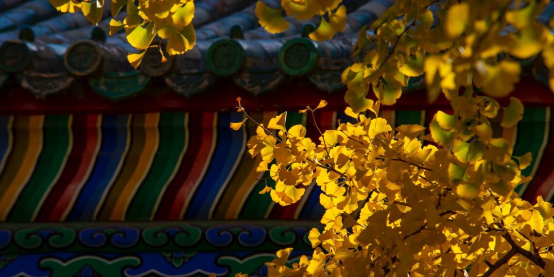 2020-11-01 地坛公园 – 银杏