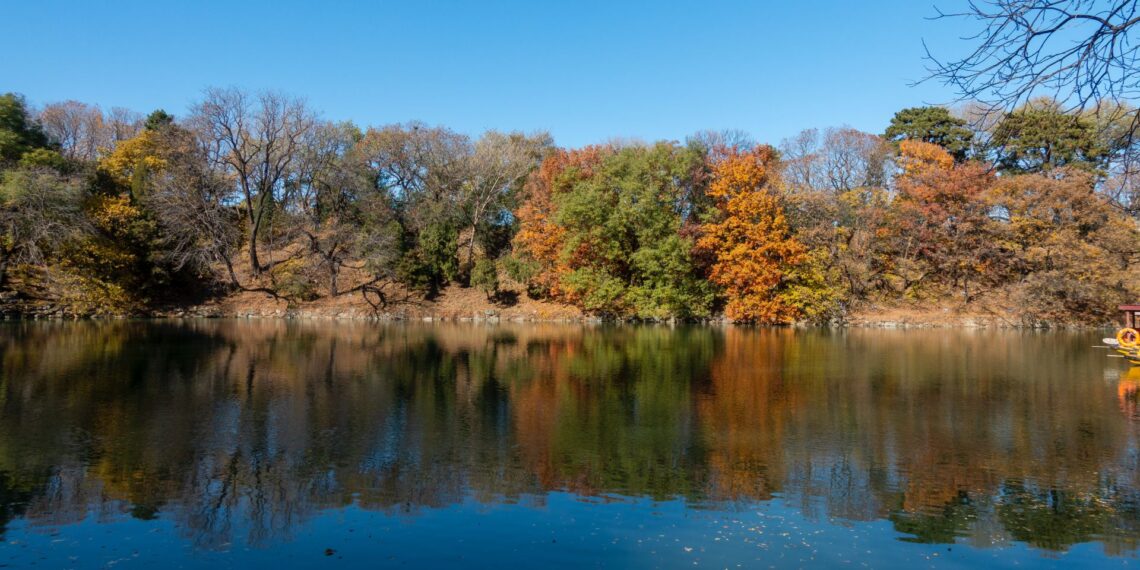 2020-11-08 颐和园