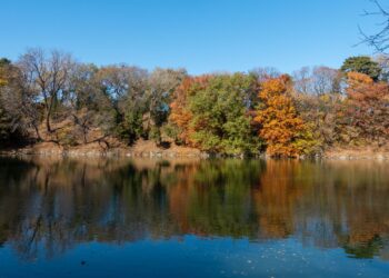 2020-11-08 颐和园