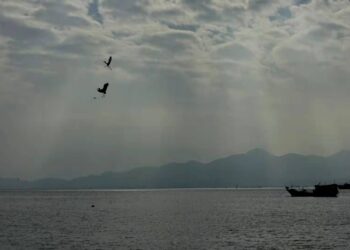 2020-11-24 深圳 蛇口 海上世界