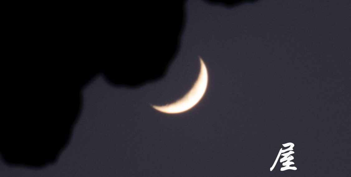 2021-01-17 故宫/景山公园