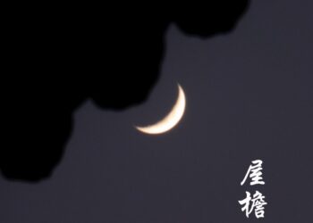 2021-01-17 故宫／景山公园