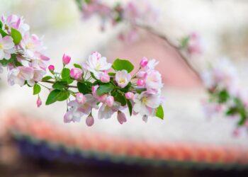 2021-04-03 西土城遗址公园