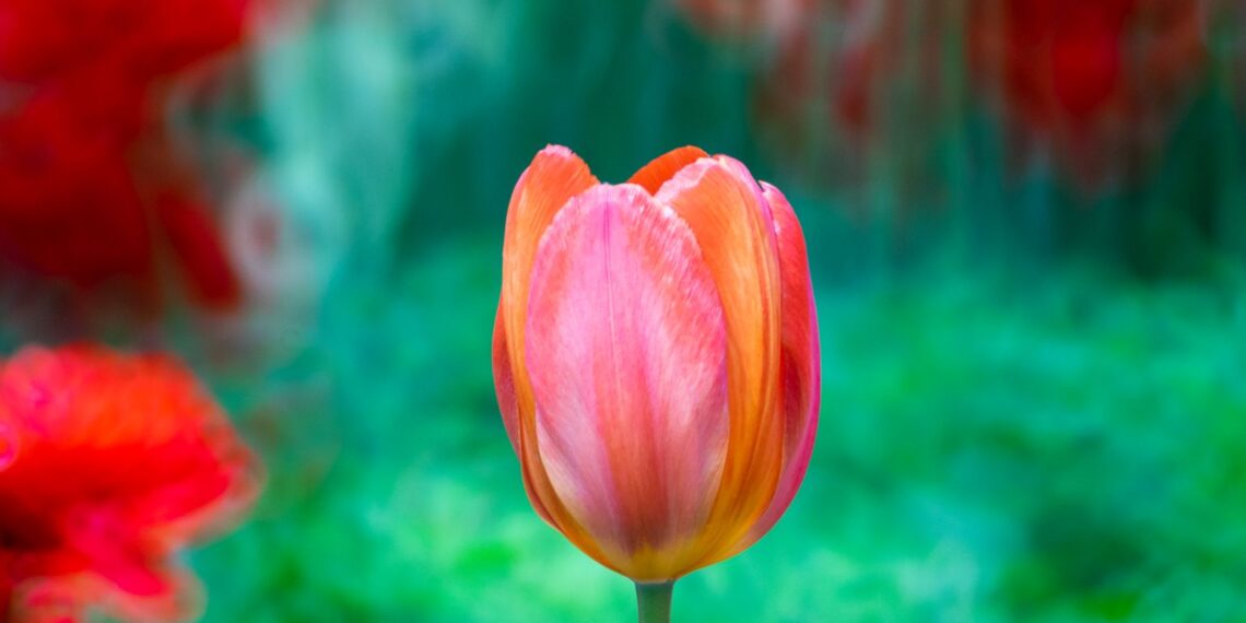 2021-04-24 北京植物园