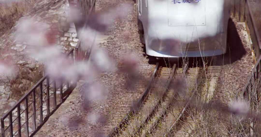2021-04-03 居庸关花海栈道 开往春天的列车