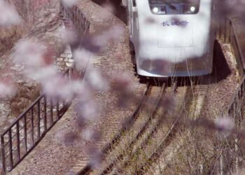 2021-04-03 居庸关花海栈道 开往春天的列车