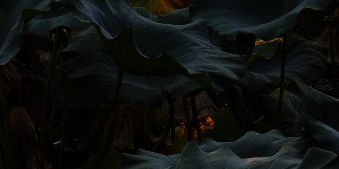 2021-10-01 颐和园