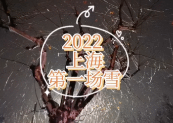 2022-01-29 上海第一场雪