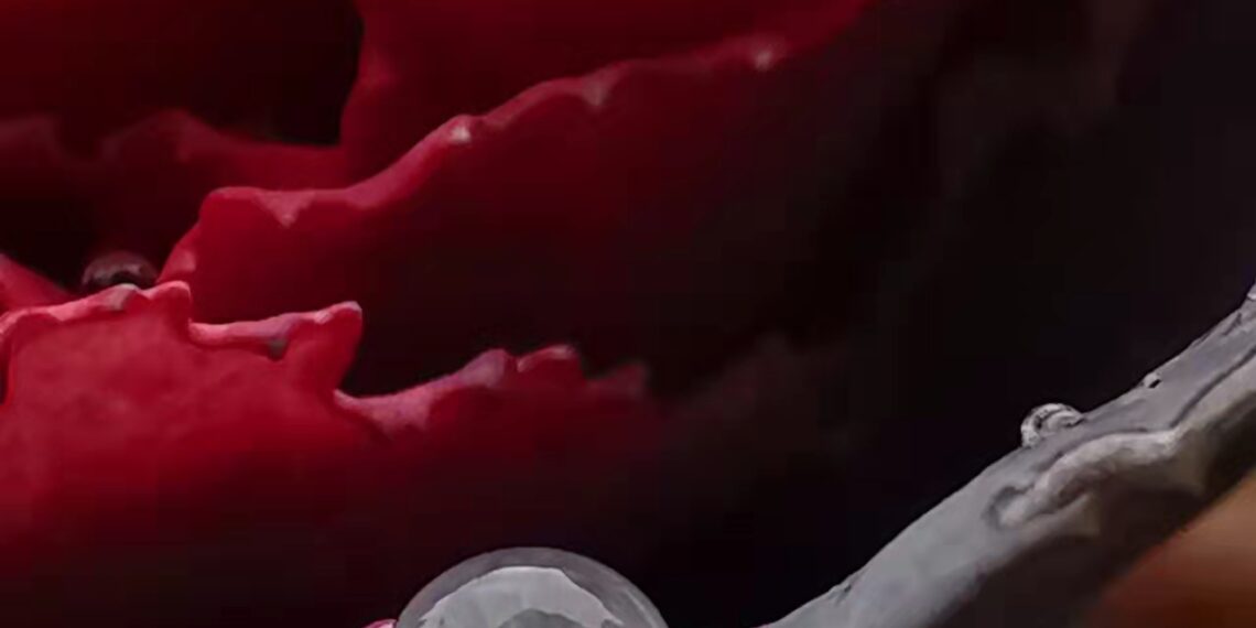 2022-02-13 世纪公园