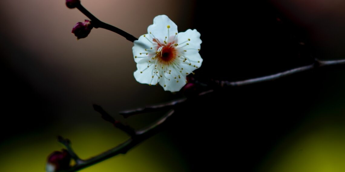 2022-02-27 世纪公园