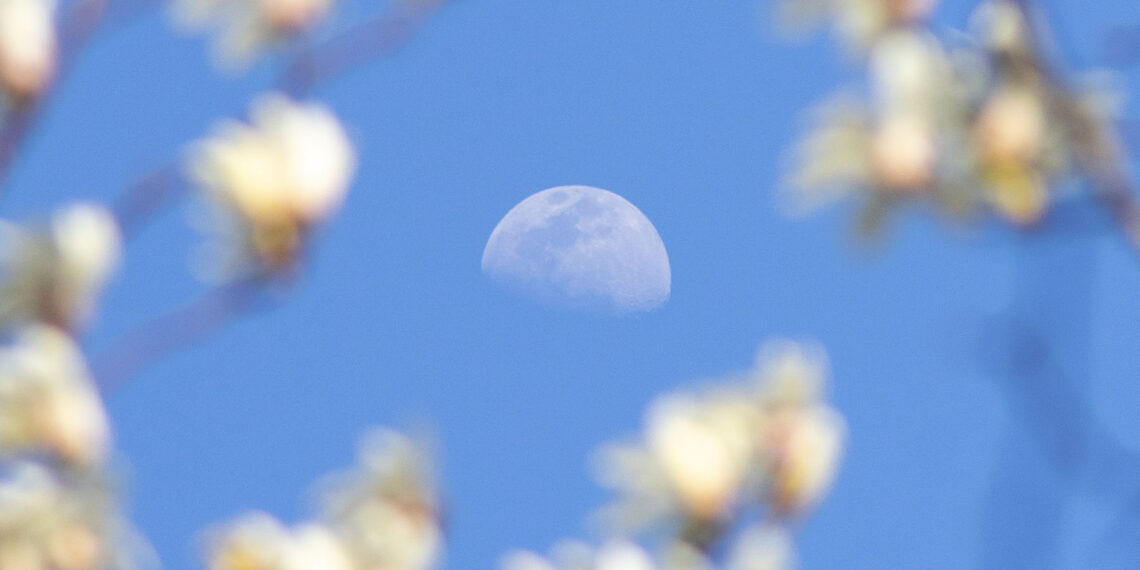 2022-03-12 世纪公园