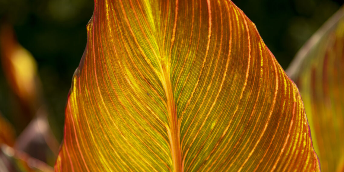 2022-05-21 难得可以出上海小区