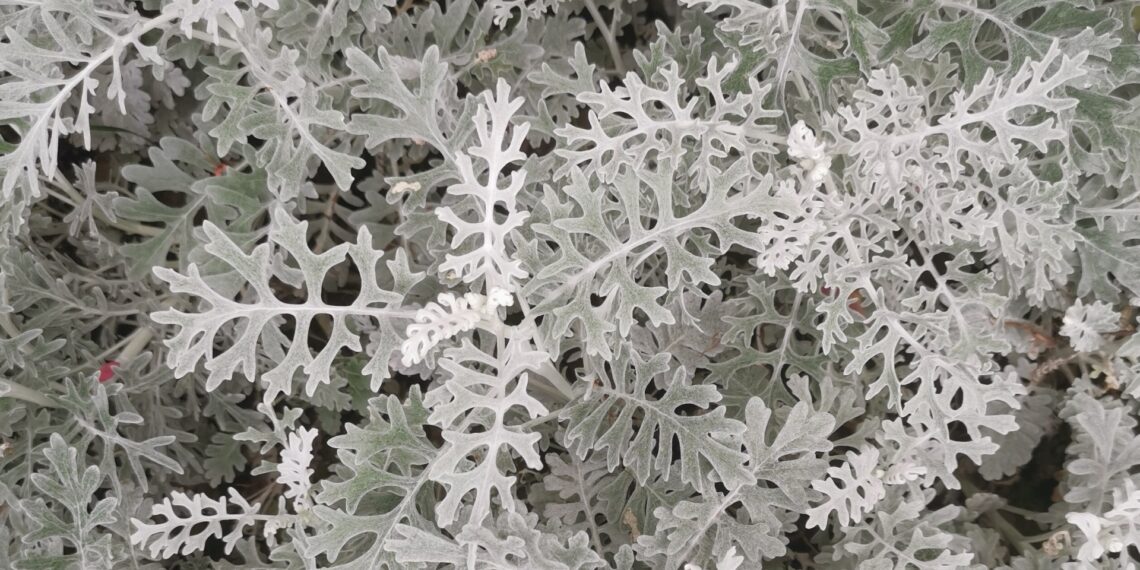 2022-05-18 隔离48天后，终于可以离开上海小区