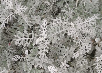 2022-05-18 隔离48天后，终于可以离开上海小区