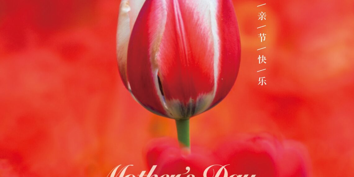 母亲节快乐 Happy Mother’s Day