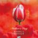 母亲节快乐 Happy Mother’s Day