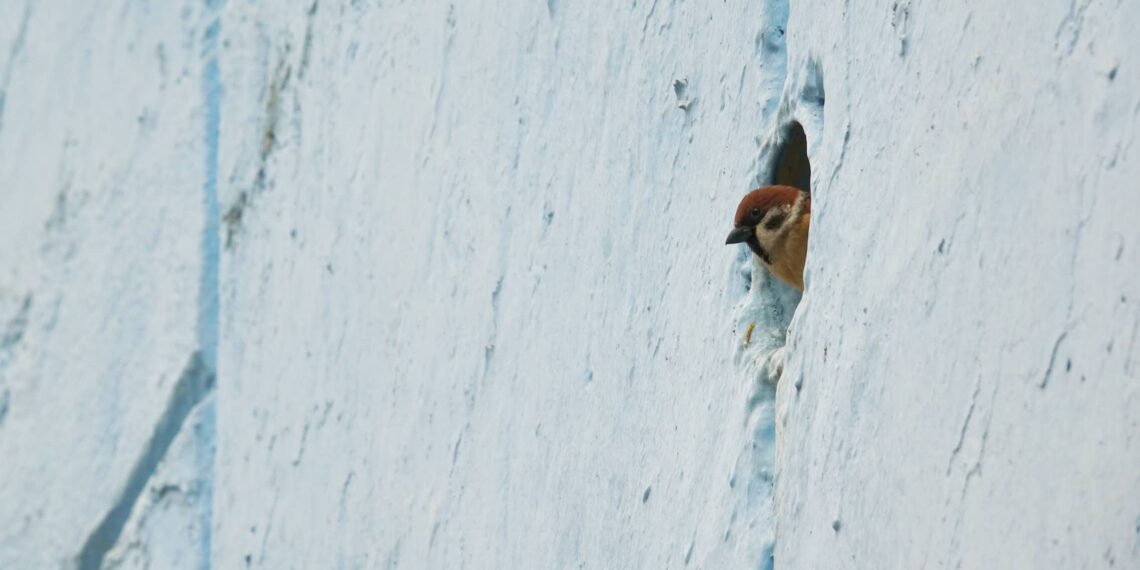 2023-01-08 勵德村